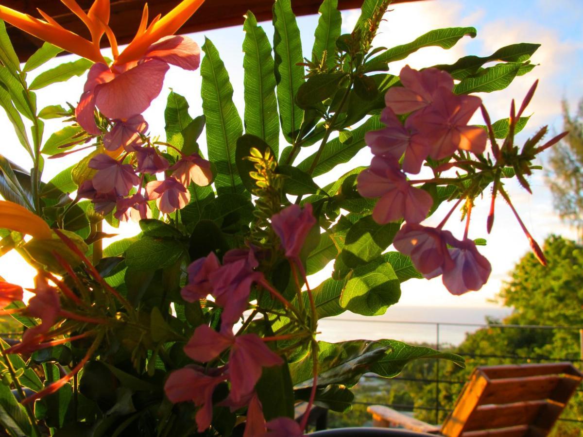 Bounty Lodge Tahiti Arue  Exterior foto